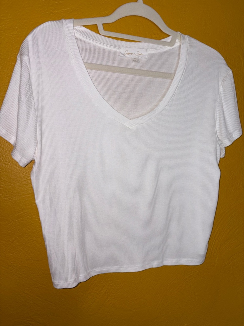 Gypsy & Jade White V-Neck Ribbed Short Sleeve Cropped Tee XS Like New Oversized